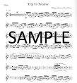 Trip to Pontivy-Contemporary Irish Music for Silver Flute