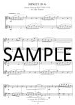 Twelve Classical Flute Duets (score)