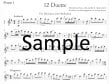 Twelve Duets from The Magic Flute