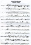 Twelve Etudes in the Key of Tango