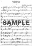 Twelve Little Duos (flute part-violin uses score)