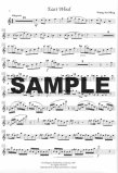 Twentieth Century Music
