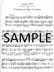 Twenty-five Sonatas (v.3) (#13-18)