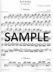 Twenty-four Bach Etudes (Bachstudien) (bk1)
