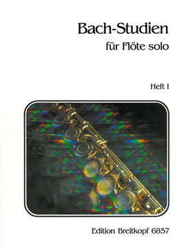 Twenty-four Bach Etudes (Bachstudien) (bk1)