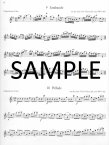 Twenty-four Bach Etudes (Bachstudien) (bk1)