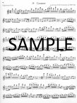 Twenty-four Bach Etudes (Bachstudien) (bk2)
