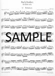 Twenty-four Bach Etudes (Bachstudien) (bk2)