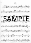 Twenty-four Etudes