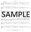 Twenty Four  FIve Flute Studies
