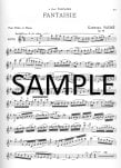 Twenty-four Flute Concert Studies