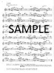 Twenty-four Jazz Etudes