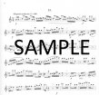 Twenty Melodic Studies (v.3) Contemporary Studies
