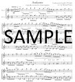 Two Flutes are Better Than One!  (score form)