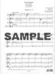 Two Sonatas
