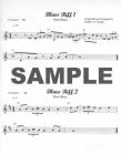 Ultimate Blues Riffs (100)