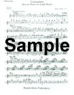 Variations on a theme by Joseph Haydn Op56a (1st Flute Part)