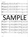 Variations on a Theme of Paganini