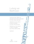 Variations on La ci Darem