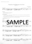 Virtuosic Flutist-Book One