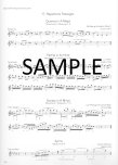 Virtuosic Flutist-Book One