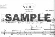 Voice