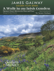 Walk in an Irish Garden, A