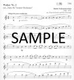 Waltz #2 from Suite for Variety Orchestra