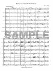 Washingtons Fanfare