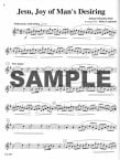 Wedding Flutist, The