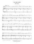 Welsh Flutist-10 Traditional Melodies