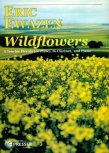 Wildflowers