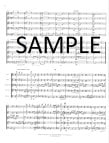 Wind Quintet Op44