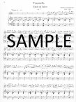 Works for Flute and Piano (v.1) (ed.Delius)