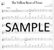 World Famous Melodies (with CD)