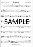 World Music for Flute (audio mp3 file access)