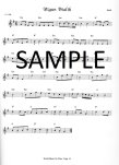 World Music for Flute (audio mp3 file access)