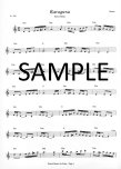 World Music for Flute (audio mp3 file access)