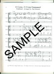 Yuletide Flutes (v.1)