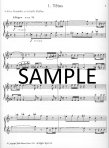 Zodiac (score form)