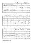 Finale from String Quintet Op29 sample Music sheet - Flute World