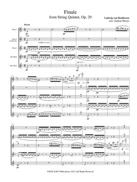 Finale from String Quintet Op29 - Flute World