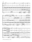 Finale from String Quintet Op29 Music Notes
