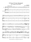 Flute in Worship, The (v.3) Christmas
