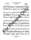 Christmas Flute Medley (v.3)
