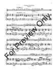 Christmas Flute Medley (v.3)