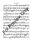 Christmas Flute Medley (v.3)