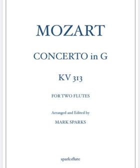 Concerto in G (KV313)