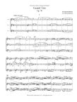 Grand Trio in b minor Op90