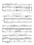 PIccolo Sonata #5